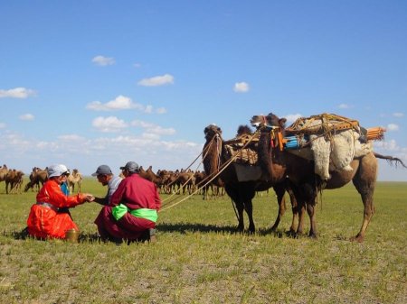 Дэлхийн хамгийн гоё үндэстнээр Монгол Улс нэрлэгджээ